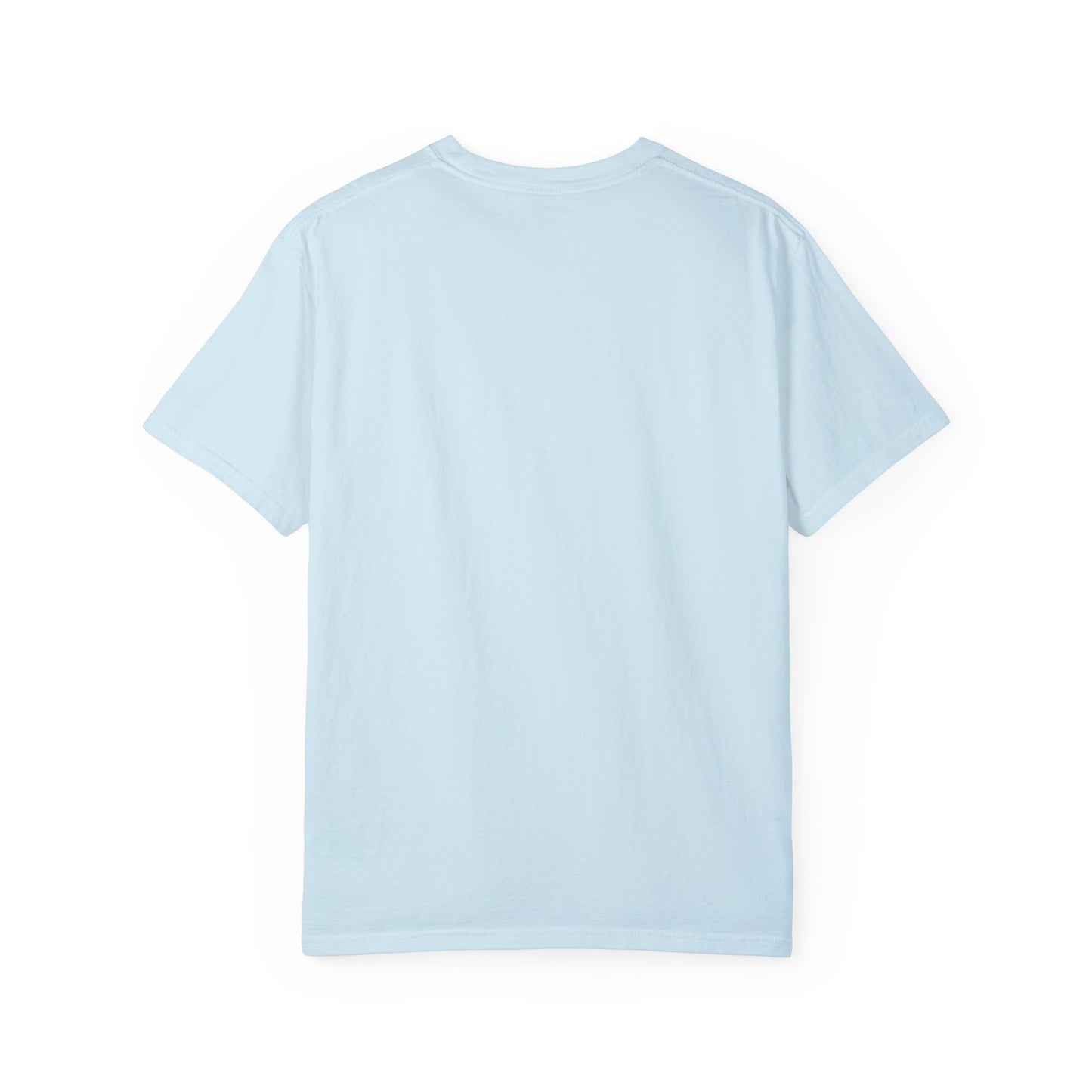 Chicago Whales Vintage T-Shirt (Comfort Colors)